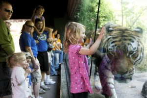 vilas-zoo-kids-and-tiger